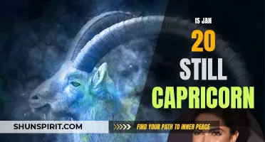 Does January 20th Still Fall Under the Capricorn Zodiac Sign?