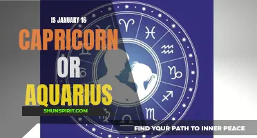 Capricorn or Aquarius: Which Zodiac Sign Rules January 16?