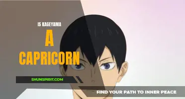 Unveiling Kageyama's Zodiac Sign: Is the Volleyball Star a Capricorn?