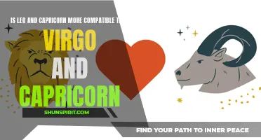 Comparing Compatibility: Leo and Capricorn Versus Virgo and Capricorn