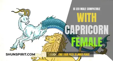 The Compatibility Between Leo Males and Capricorn Females Explained
