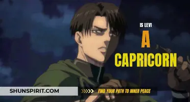 Is Levi a Capricorn? Unveiling the Zodiac Sign of the Infamous Character