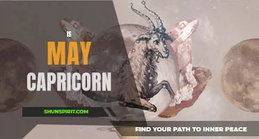 Understanding the Capricorn Personality Traits: Is May Born Capricorn Described Differently?