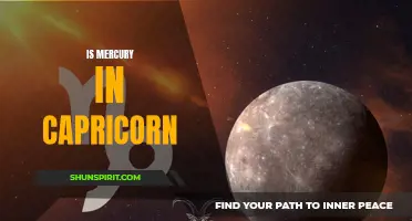 The Influence of Mercury in Capricorn: How the Planet's Placement Shapes Your Destiny