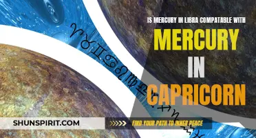 The Compatibility of Mercury in Libra with Mercury in Capricorn