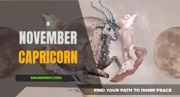 Unveiling The Secrets Behind November's Capricorn Zodiac Sign
