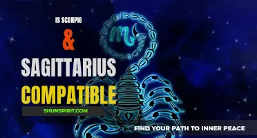 The Compatibility Between Scorpio and Sagittarius: Exploring Their Dynamic Relationship