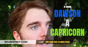 Unveiling the Star Sign of Shane Dawson: Is the YouTube Star a Capricorn?