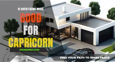 The Advantages of a South-Facing House for Capricorn Homeowners