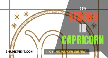 The Power of the Sun in Capricorn: Unleashing Strength and Ambition