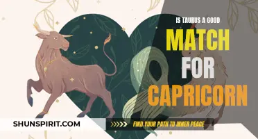 Compatibility Check: Taurus and Capricorn - A Perfect Match?