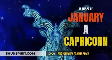 Unlocking the Zodiac: Is January 23rd the Key to Understanding Capricorn Traits?