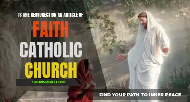 The Catholic Church and the Belief in the Resurrection: An Article of Faith