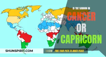 The Zodiac Position of the Sahara: Is It In Cancer or Capricorn?