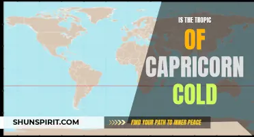 Exploring the Climates: Unveiling the Mystery of the Tropic of Capricorn's Temperature