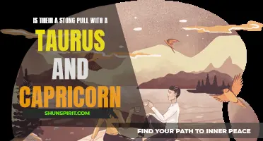 The Strong Pull of Taurus and Capricorn Compatibility