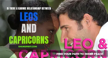 Exploring the Potential Karmic Relationship Between Leos and Capricorns