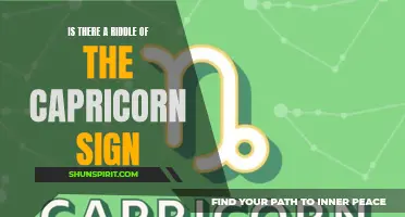 Unraveling the Riddle of the Capricorn Sign: Exploring its Mysteries and Meanings