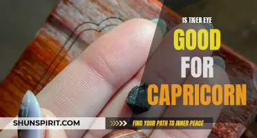 The Benefits of Tiger Eye for Capricorn: Harnessing Energy and Strengthening the Sea-Goat Sign