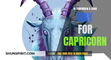 Is Tomorrow a Promising Day for Capricorn? Exploring Zodiac Signs and Personalized Horoscopes