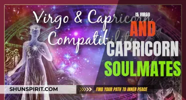Is the Compatibility Between Virgo and Capricorn Strong Enough for a Soulmate Connection?
