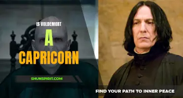 Exploring the Zodiac Sign of Voldemort: Is He a Capricorn?