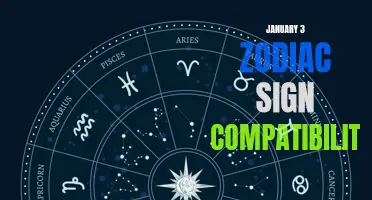 Unlocking the Secrets of January 3 Zodiac Sign Compatibility: Who Matches Perfectly with Capricorns Born on This Day?