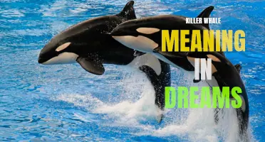 Unraveling the symbolism of killer whale dreams: A deeper understanding