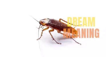 Unmasking the Hidden Significance: Decoding the Dream Meaning of Killing Cockroaches