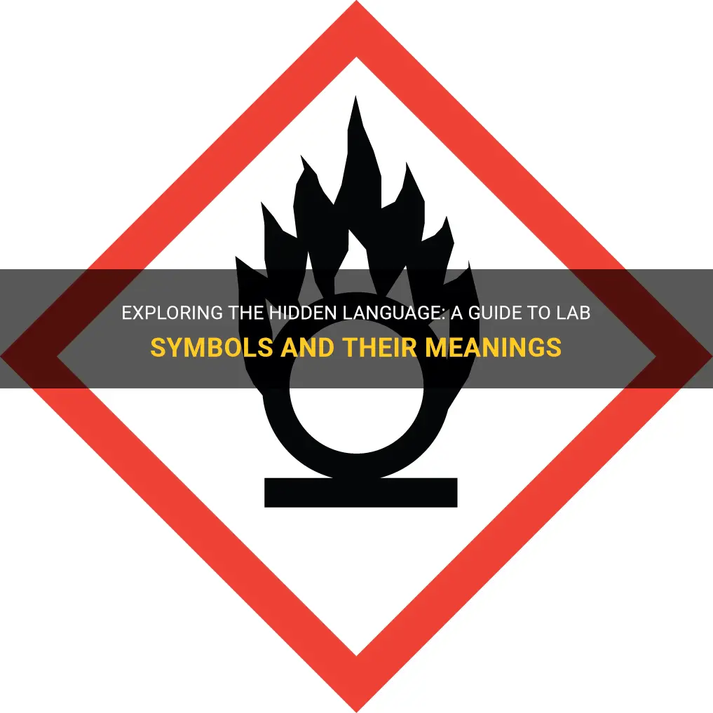 lab symbols and meanings