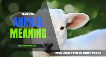 The Symbolic Significance of the Lamb Spirit Animal