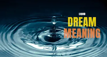 Understanding the symbolic representation and interpretation of liquid dreams