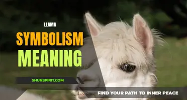 Decoding the Llama: Unraveling the Symbolism and Meaning Behind the Beloved Camelids