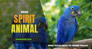Flight of the Macaw: Unlocking Your Inner Spirit Animal