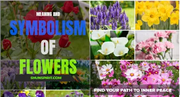 The Language of Blooms: Exploring the Deep Meaning and Symbolism of Flowers