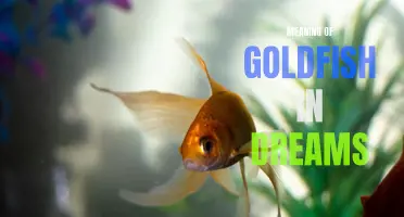 Decoding the Symbolism of Goldfish Dreams