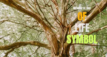 Exploring the Symbolic Depths: Unraveling the Meaning of the Tree of Life Symbol