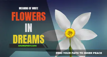 The Symbolic Significance of White Flowers in Dream Interpretation