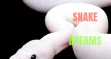 Interpreting the Symbolism of White Snakes in Dreams