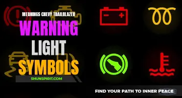 Decoding the Meanings of Chevy Trailblazer Warning Light Symbols