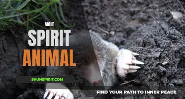 The Wisdom and Intuition of the Mole Spirit Animal