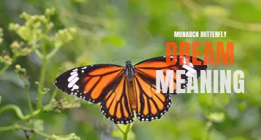 Interpreting the Symbolism of a Monarch Butterfly Dream