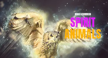 The Most Common and Fascinating Spirit Animals to Discover