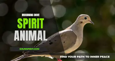 The gentle whispers of the mourning dove: a spirit guide