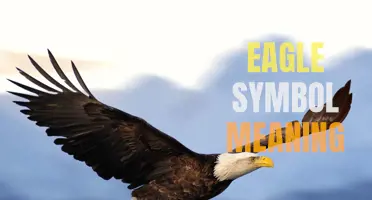 The Symbolic Meaning of the Native American Eagle: A Powerful and Sacred Presence
