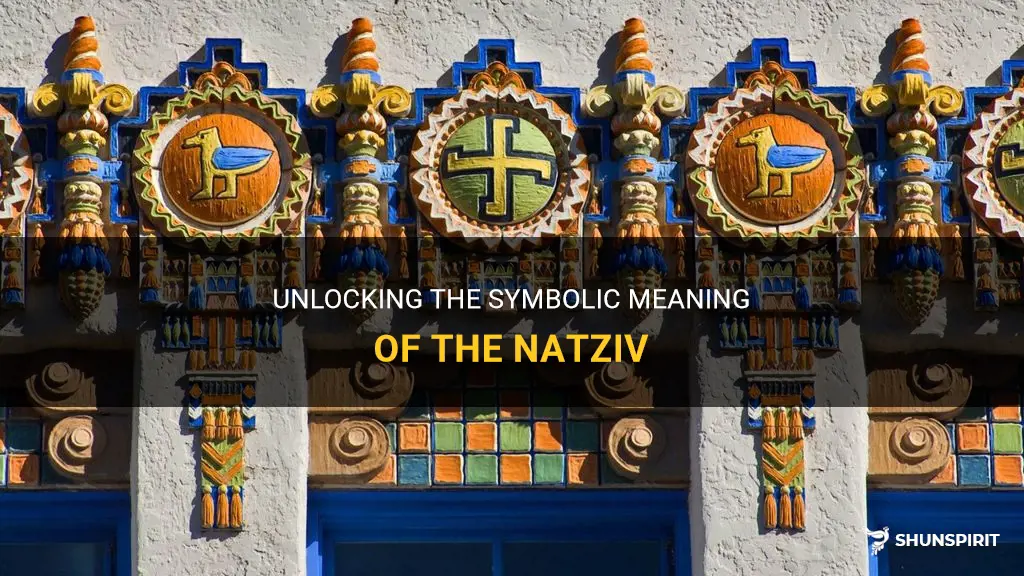 natziv symbol meaning
