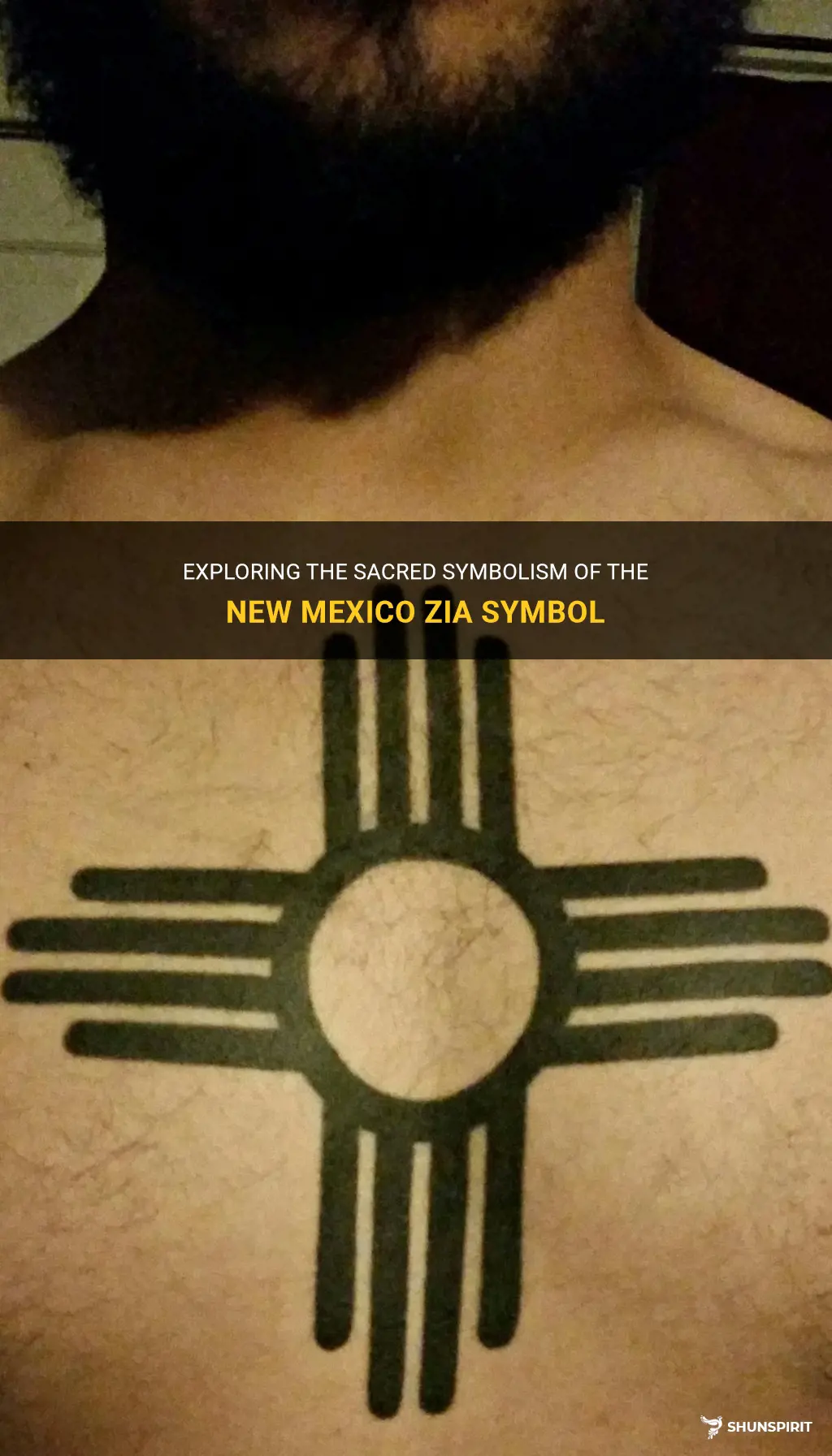 new mexico zia symbol meaning