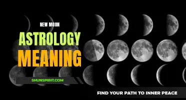 Understanding the Meaning of New Moon Astrology