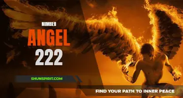 The Significance of Number Angel 222 - Unlocking Your Inner Power