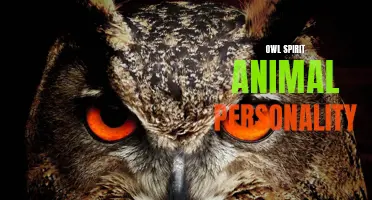 Discover the Wise and Intuitive Personality of the Owl Spirit Animal